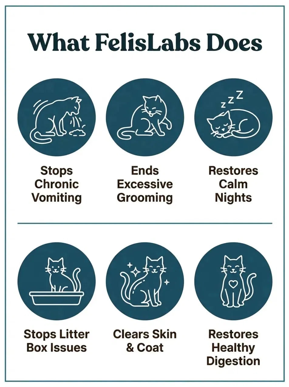 Parasite Cleanse Drops
