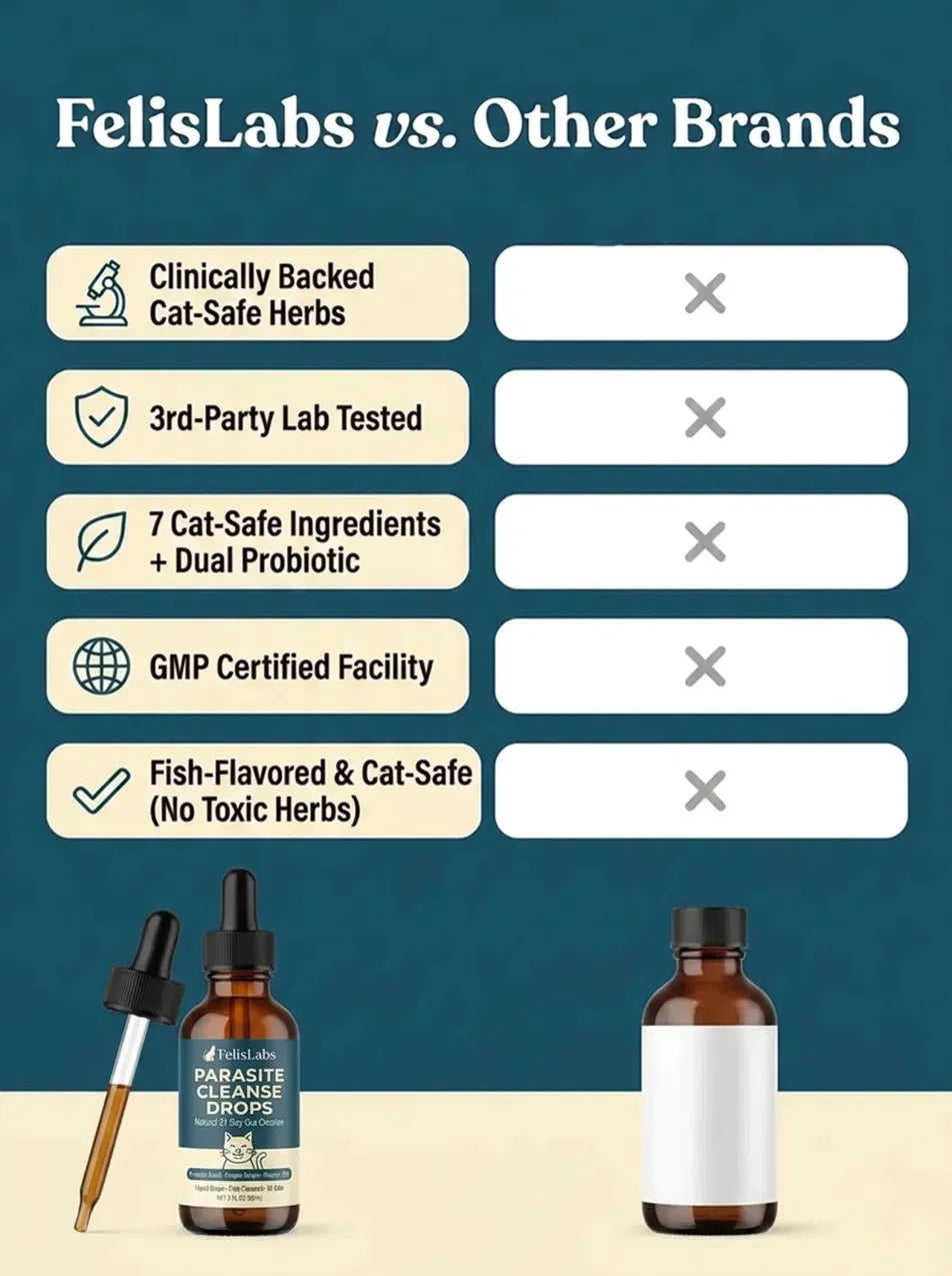 Parasite Cleanse Drops